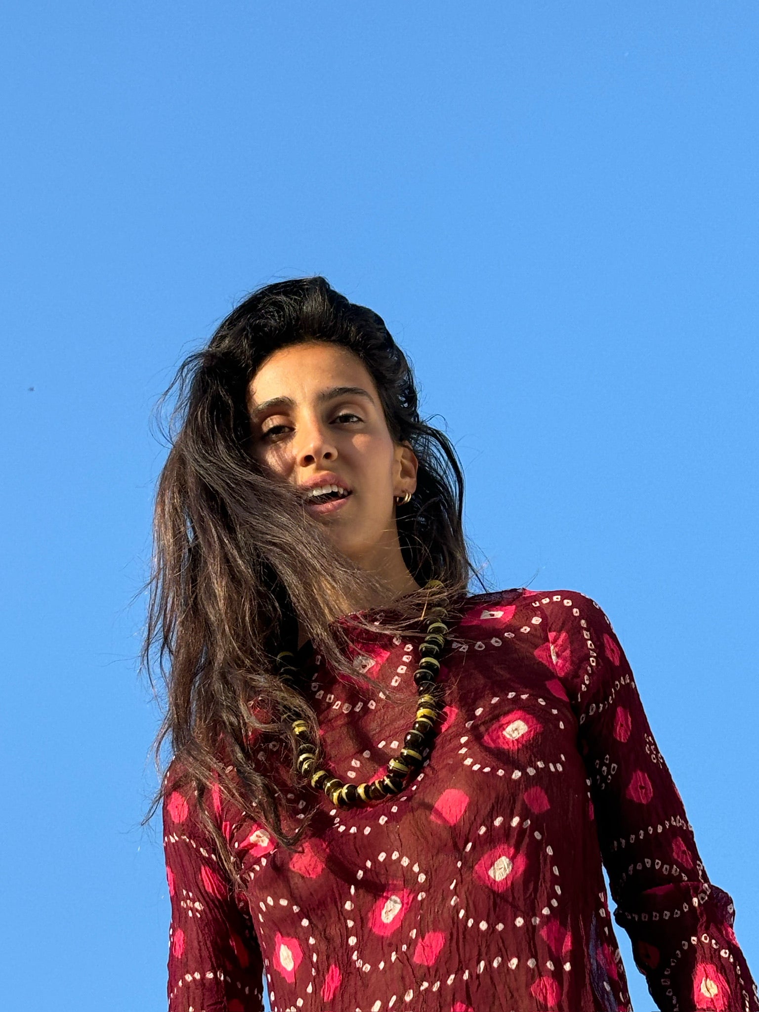 Slide image